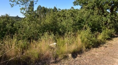 Terrain à Chãos de 2 240 m²