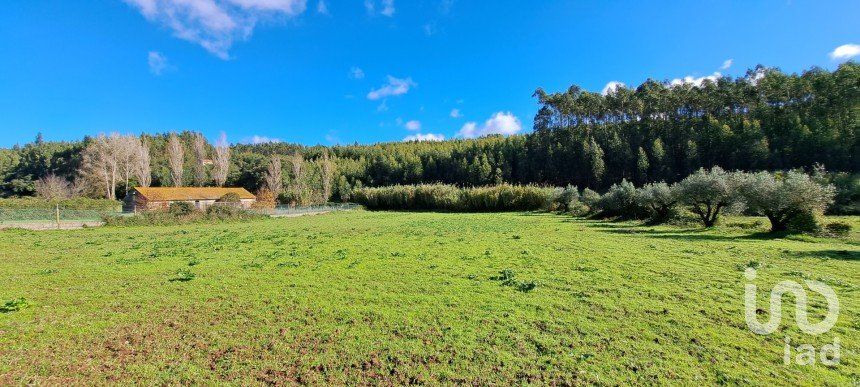 Terrain à Rio Maior de 4 500 m²