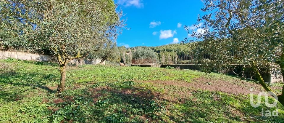 Terrain à Rio Maior de 4 500 m²