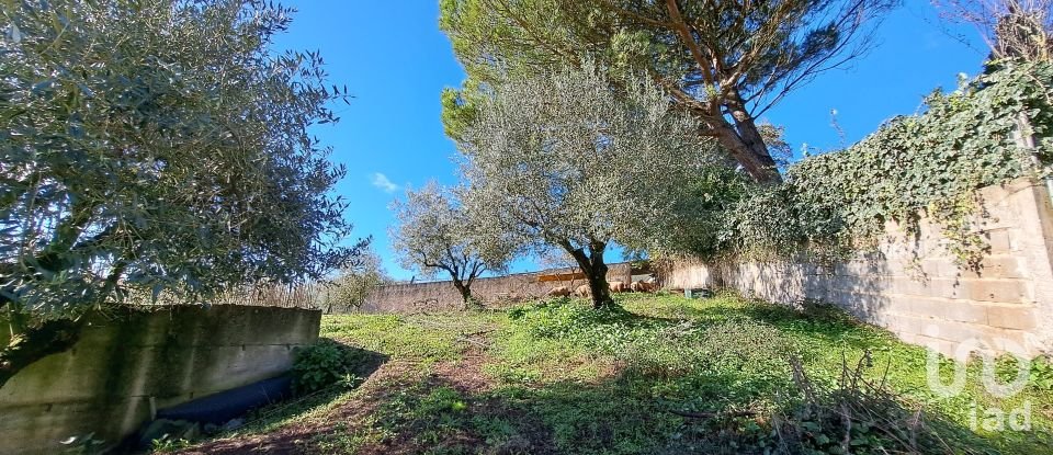 Terrain à Rio Maior de 4 500 m²