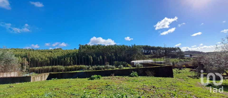 Terrain à Rio Maior de 4 500 m²