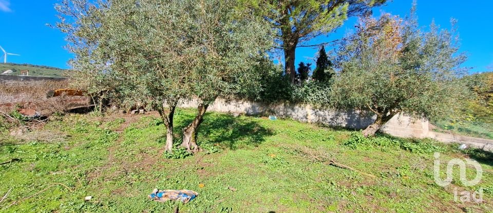 Terrain à Rio Maior de 4 500 m²