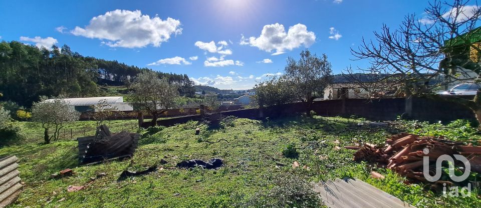 Terrain à Rio Maior de 4 500 m²