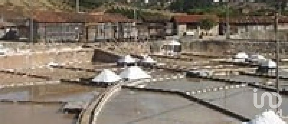 Terrain à Rio Maior de 4 500 m²