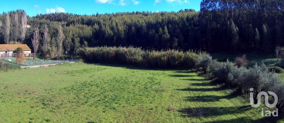 Terrain à Rio Maior de 4 500 m²