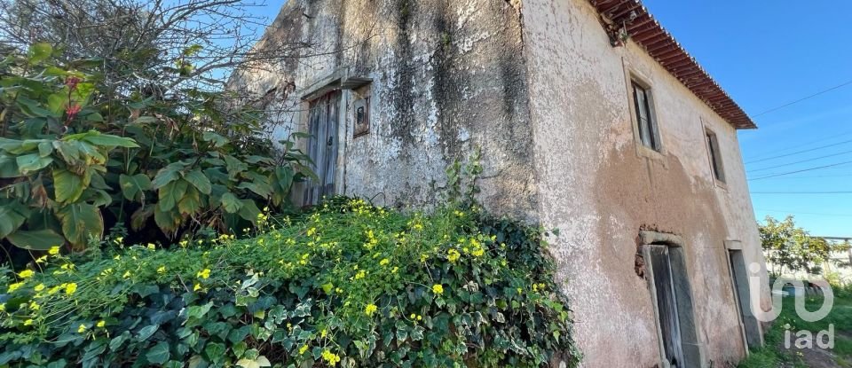 Maison T0 à Eiras E São Paulo De Frades de 80 m²