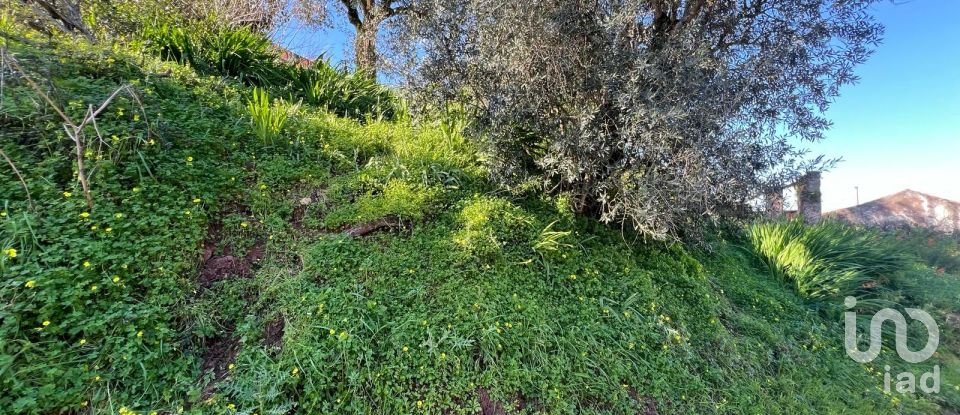 Maison T0 à Eiras E São Paulo De Frades de 80 m²