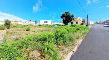 Terrain à Serpins de 706 m²