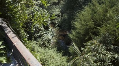 Restaurante em Aguda de 1 875 m²