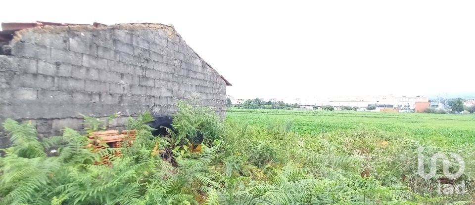 Moradia T3 em Barcelos, Vila Boa e Vila Frescainha (São Martinho e São Pedro) de 416 m²