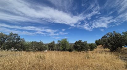 Building plot in Querença, Tôr e Benafim of 7,880 m²