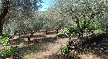 Terrain agricole à Poiares de 1 900 m²