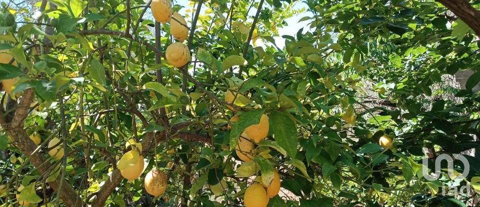 Terreno rústico em Poiares de 1 900 m²