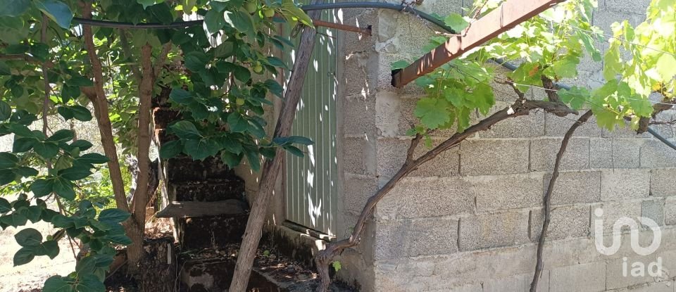 Terreno rústico em Poiares de 1 900 m²