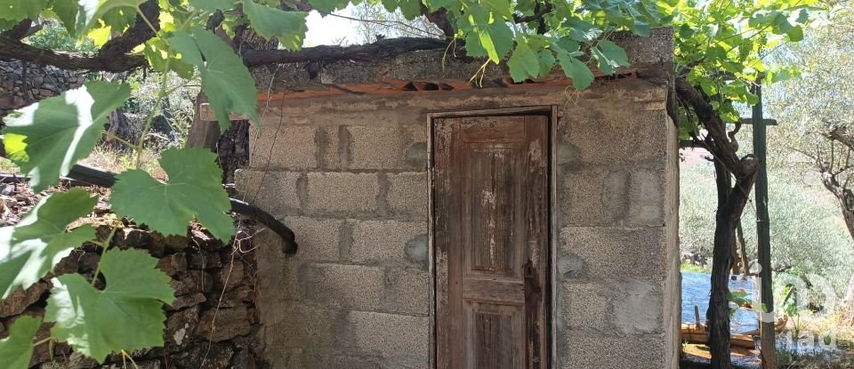 Terreno rústico em Poiares de 1 900 m²