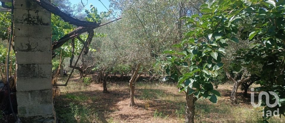 Terreno rústico em Poiares de 1 900 m²