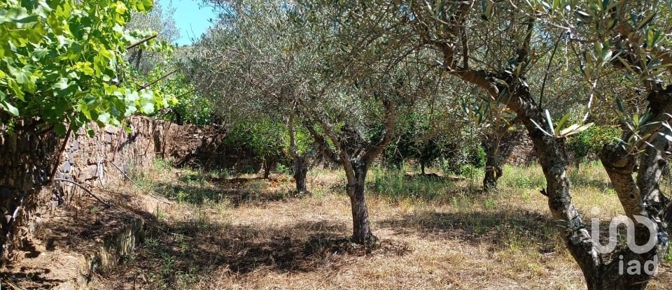 Terreno rústico em Poiares de 1 900 m²