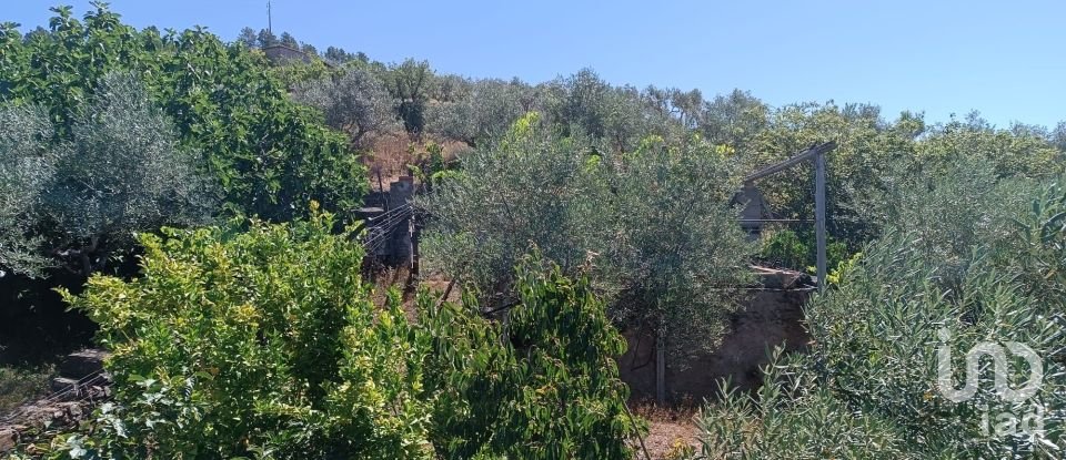 Terreno rústico em Poiares de 1 900 m²