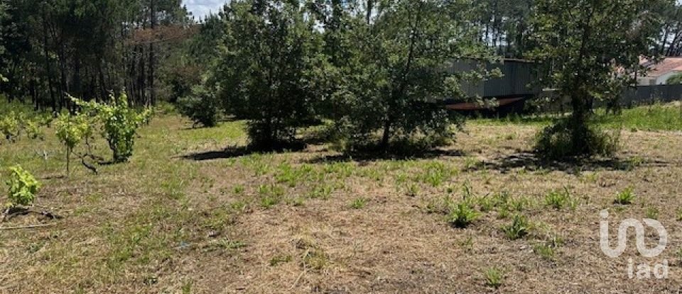 Land in Monte Real e Carvide of 1,350 m²