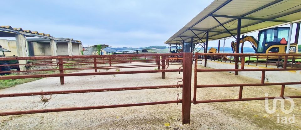 Farm T0 in Peral of 92,520 m²