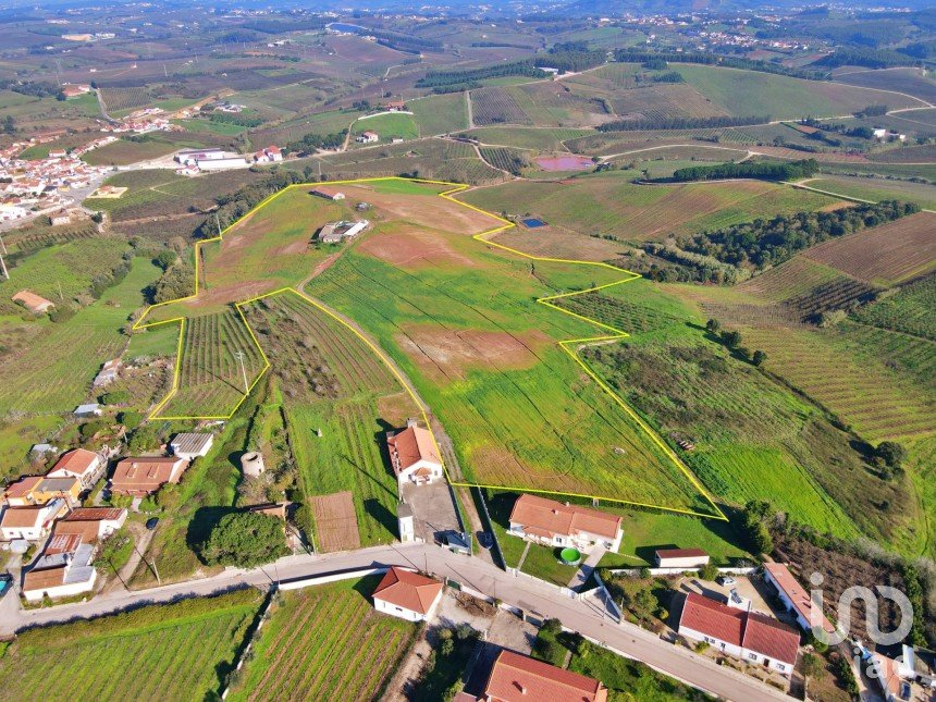 Farm T0 in Peral of 92,520 m²
