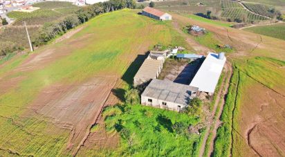 Farm T0 in Peral of 92,520 m²