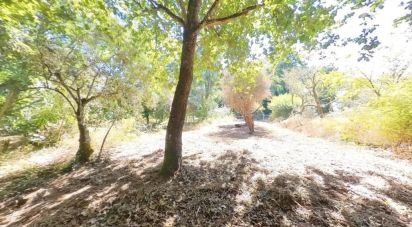 Maison T0 à Castanheira de Pêra e Coentral de 96 m²