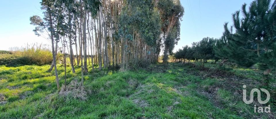 Terrain à bâtir à Campelos e Outeiro da Cabeça de 3 640 m²