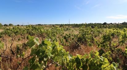 Farm land in Silves of 5,920 m²