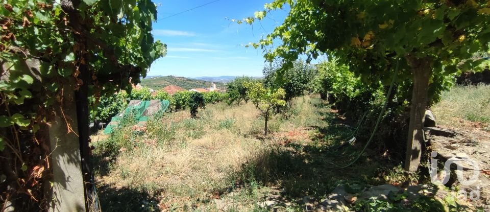 Moradia T5 em Barcos e Santa Leocádia de 179 m²