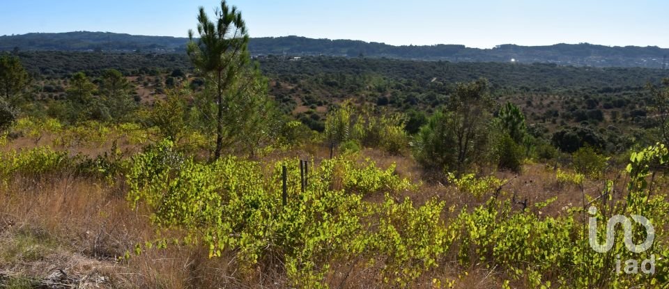 Terreno em Areias e Pias de 17 000 m²