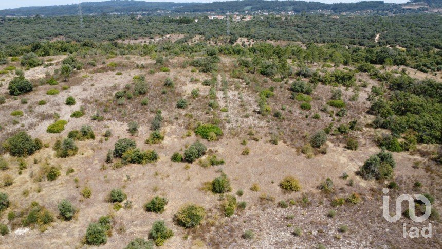 Terreno em Areias e Pias de 17 000 m²