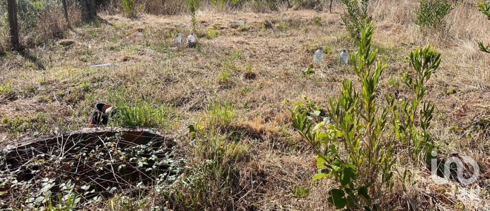 Terrain à Antas de 310 m²