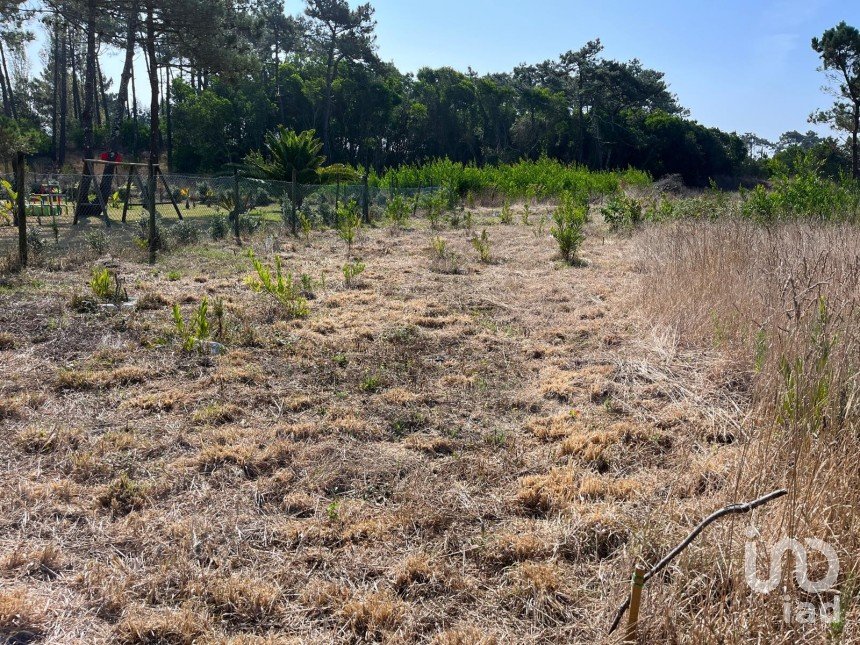 Land in Antas of 310 m²