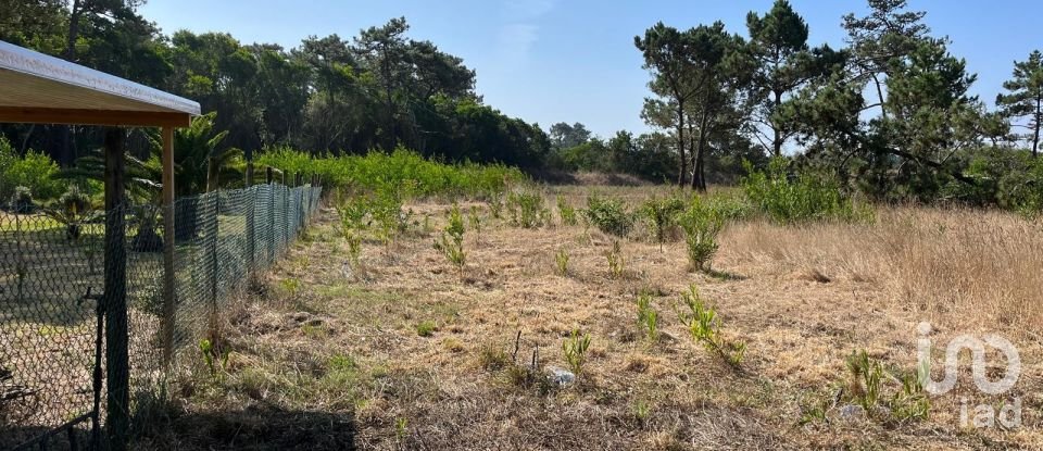 Land in Antas of 310 m²