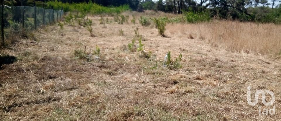 Land in Antas of 310 m²