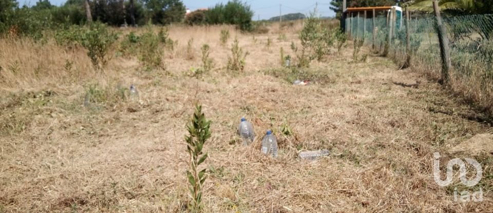 Land in Antas of 310 m²