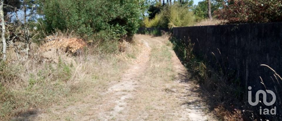 Land in Antas of 310 m²