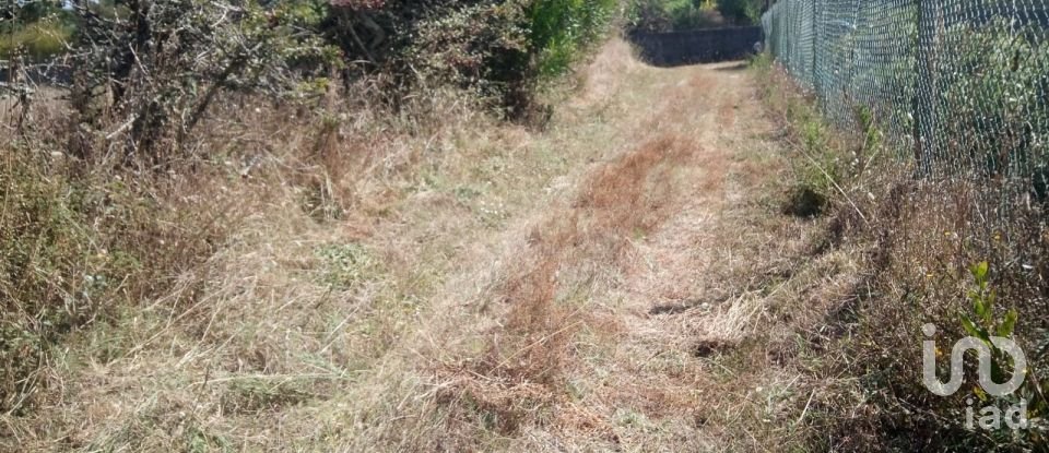 Land in Antas of 310 m²