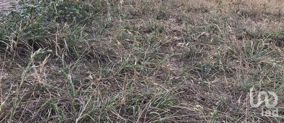 Building plot in Ovar, São João, Arada e São Vicente de Pereira Jusã of 2,300 m²