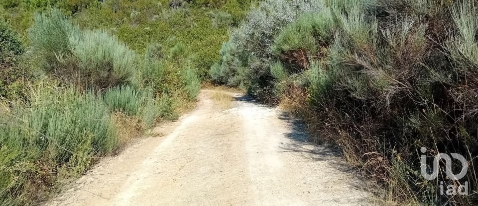 Terreno rústico em Mós de 70 000 m²