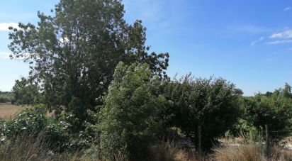 Terrain à Pegões de 24 750 m²