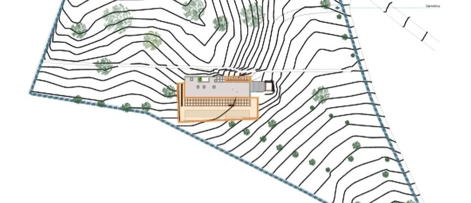 Building plot in Quarteira of 11,167 m²