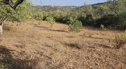 Building plot in Quarteira of 11,167 m²