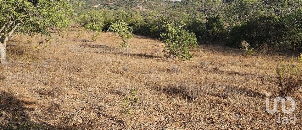 Building plot in Quarteira of 11,167 m²