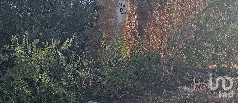 Building plot in Quarteira of 11,167 m²