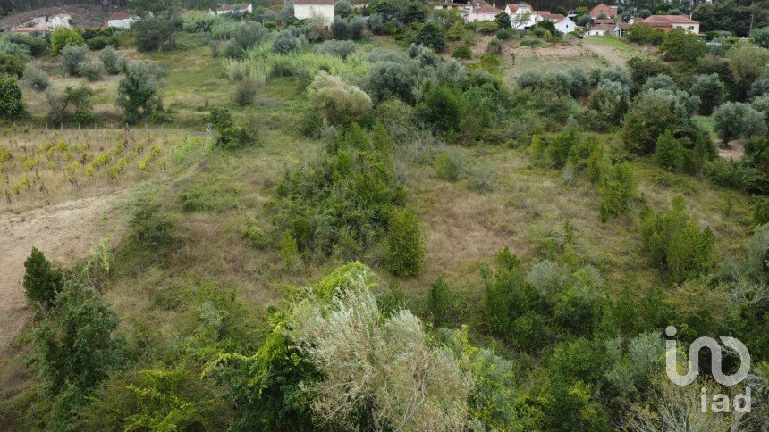 Land in Santiago e São Simão de Litém e Albergaria dos Doze of 1,150 m²