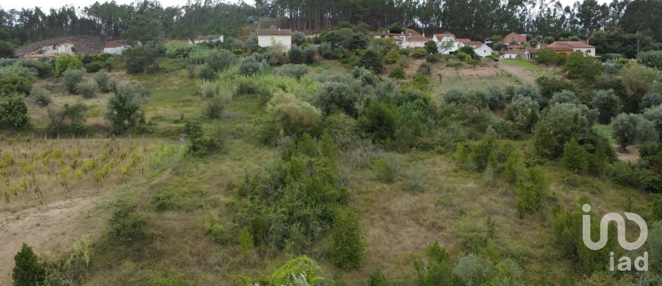 Land in Santiago e São Simão de Litém e Albergaria dos Doze of 1,150 m²