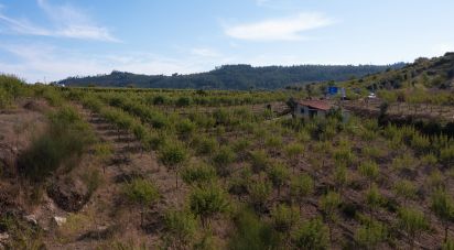 Land in Lamas of 11,841 m²