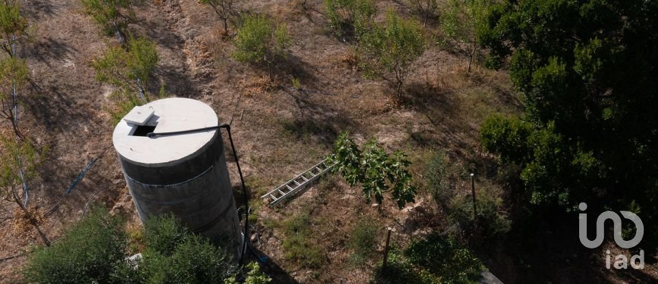 Land in Lamas of 11,841 m²